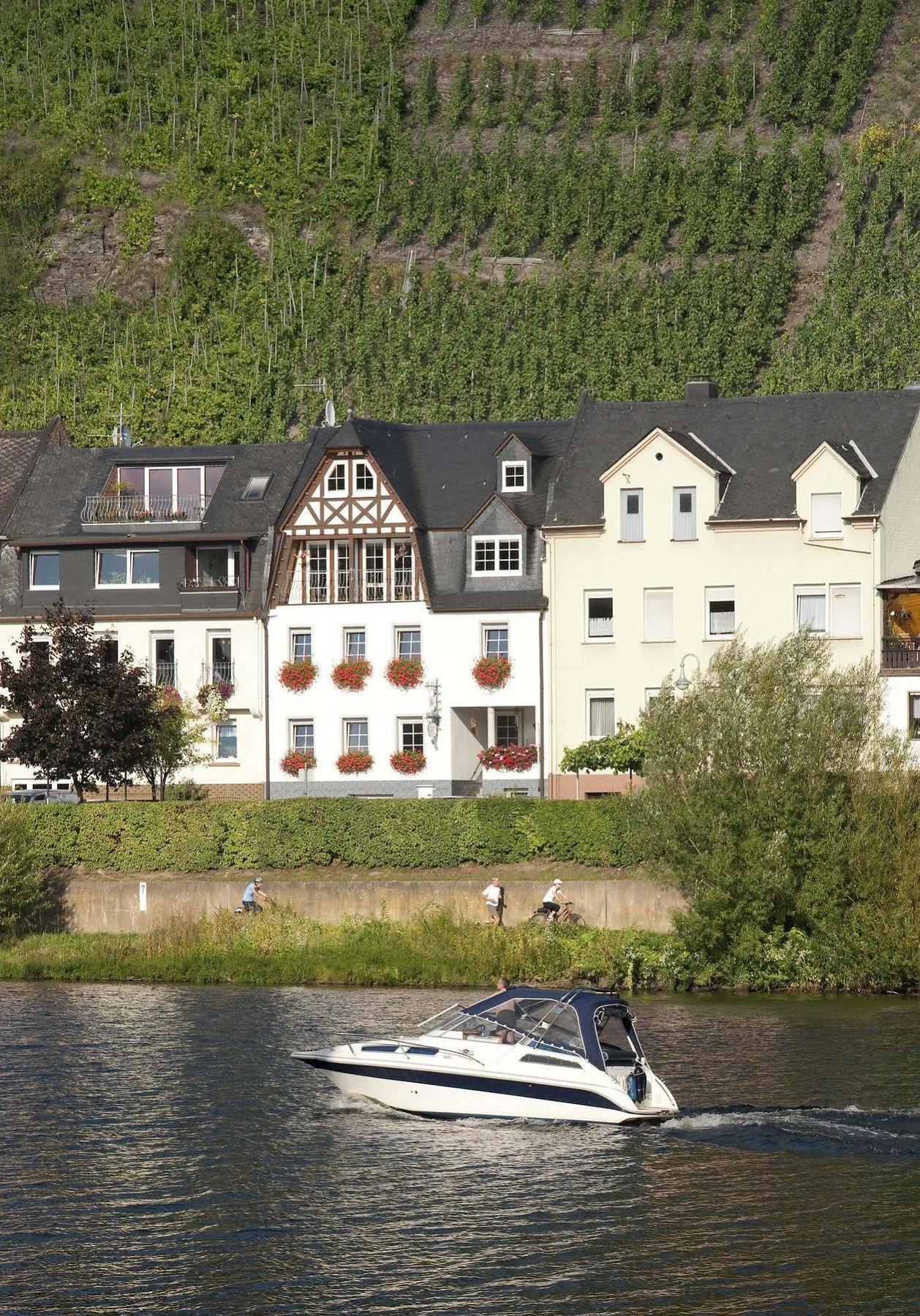 Appartamento Mosel Panorama Zell an der Mosel Esterno foto